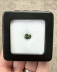 1.46ct Green Australian Sapphire Oval-cut