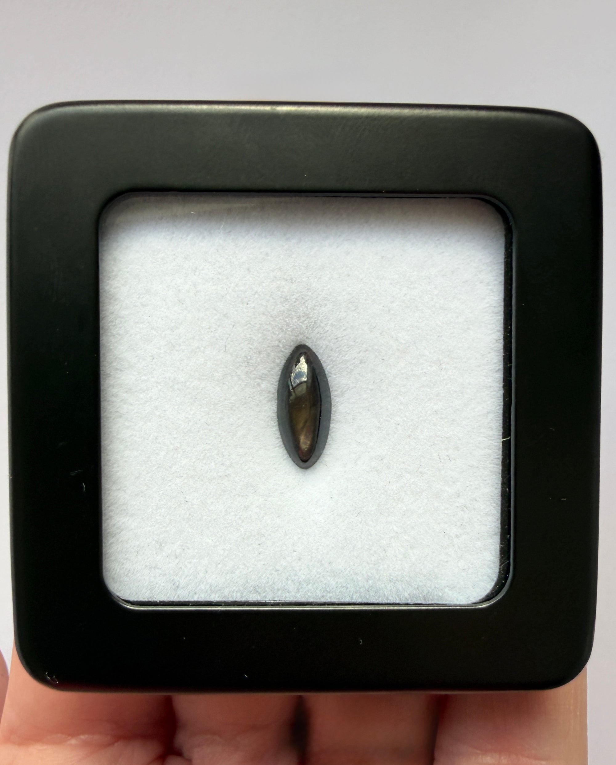 2.40ct Black Star Sapphire Marquise-cut