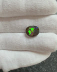'Harlequin Queen' Unset Boulder Opal