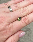 1.68ct Parti Australian Sapphire Pear-cut