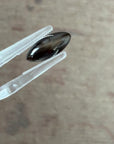 2.40ct Black Star Sapphire Marquise-cut